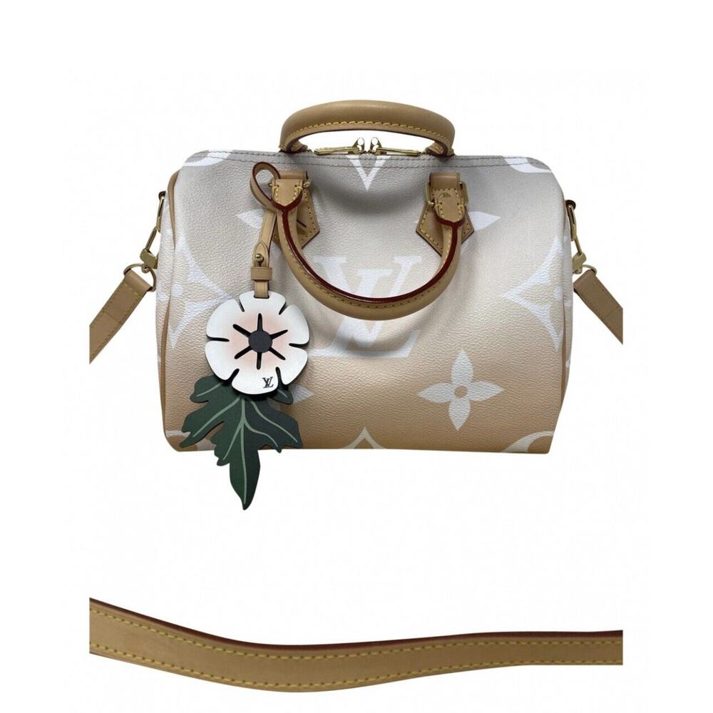 Louis Vuitton Speedy 25 Bandouliere By the Pool Mist Color Excellent Condition
